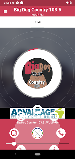Big Dog 1035 Screen 2
