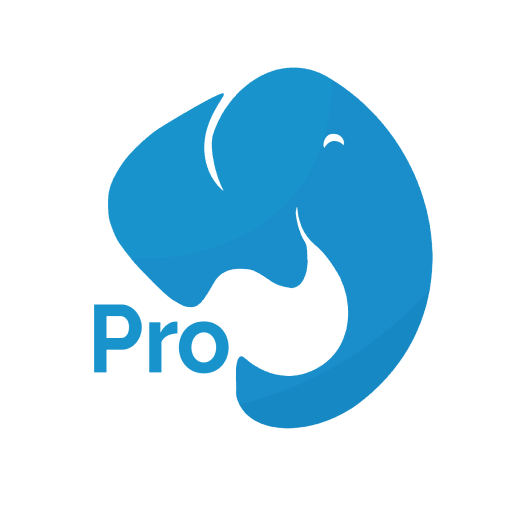 Memory Lane Games Pro logo