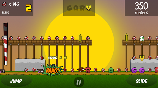 Run Gary Run