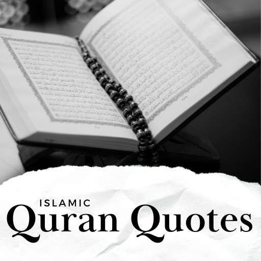 Beautiful Quran Quotes