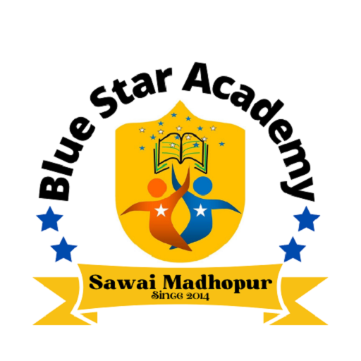 Blue Star Academy SWM logo