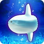 Aquarium sunfish simulation Apk