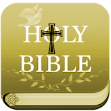 Santa Biblia NTV icon