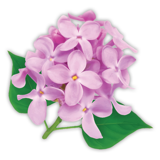 Lilac Car Wash logo