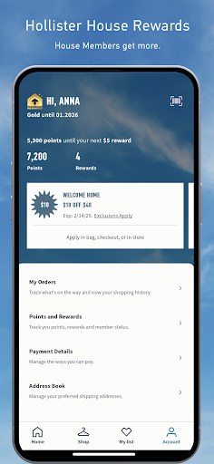 Screenshot of Hollister Co.