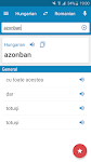screenshot of Hungarian-Romanian Dictionary