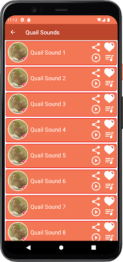 Quail Sounds Screen 3
