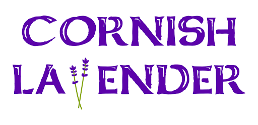 CORNISH LAVENDER