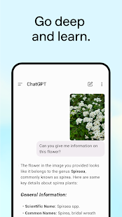 ChatGPT Screenshot