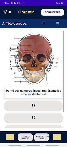 Quiz Anatomie - KaminAnatomie Screen 2