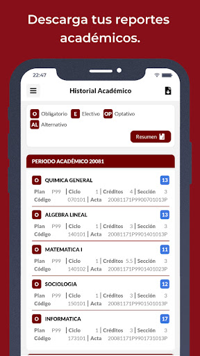 Portal UNMSM Screen 3