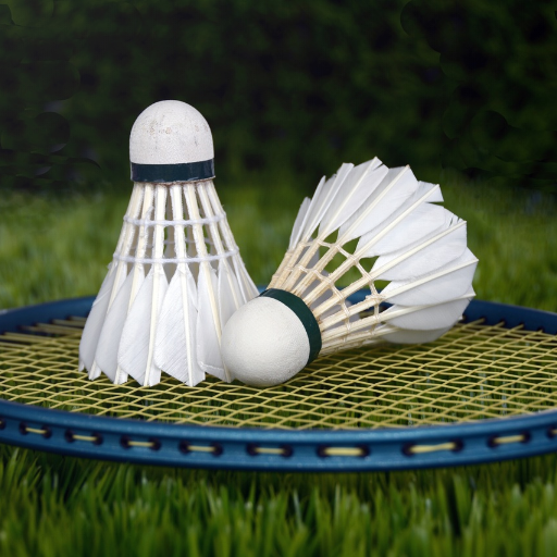 Papan Skor - Badminton - AppWisp.com