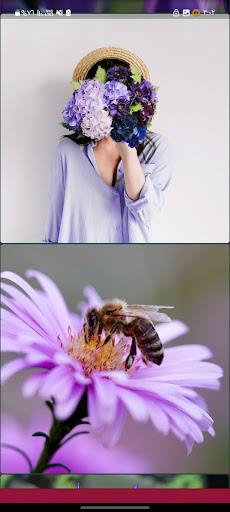 Purple Backgrounds Screen 3