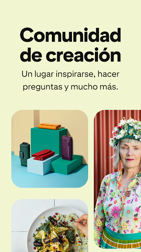 Vista previa de la aplicación