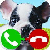 fake call dog game 2 icon