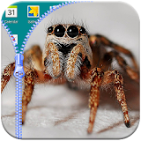 Spider zipper lock screen free icon