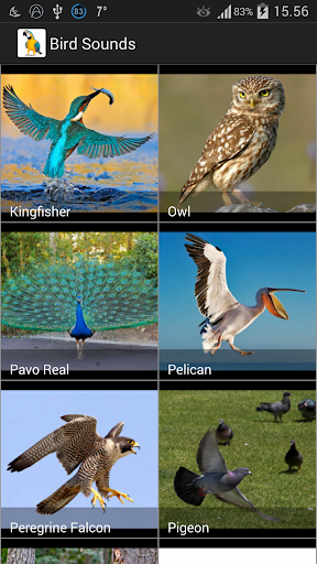 Bird Sounds Screen 2