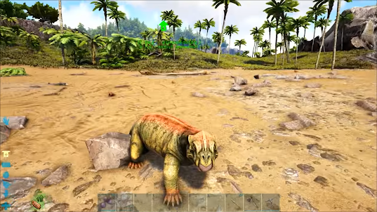 Hints of ASK: Survival Game Evolved