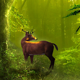 Galaxy Deer HD Live Wallpaper icon
