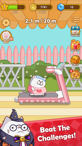Cat Run - Kitty Rush Screenshots