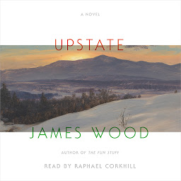 Icoonafbeelding voor Upstate: A Novel