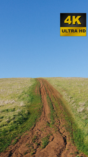 Brown Color Wallpapers - 4K and UHD