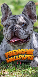 Captura 1 fondo pantalla bulldog francés android