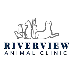 Riverview animal sale hospital hours