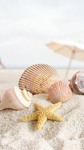 Android application Summer Live Wallpaper screenshort