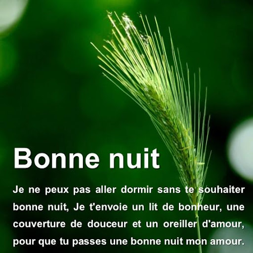 Good Morning and Good Night in French