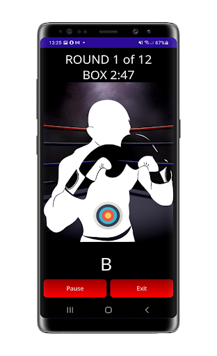 Punch Perfect: Boxing Workouts Screen 2