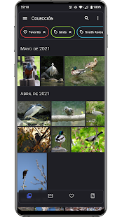 Aves Galería Screenshot