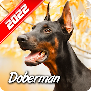 Top 14 Entertainment Apps Like Doberman Wallpaper - Best Alternatives