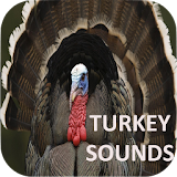 Turkey Sounds icon