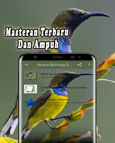 Download Pikat Burung Sogok Ontong Mp3 Offline Free For Android Pikat Burung Sogok Ontong Mp3 Offline Apk Download Steprimo Com