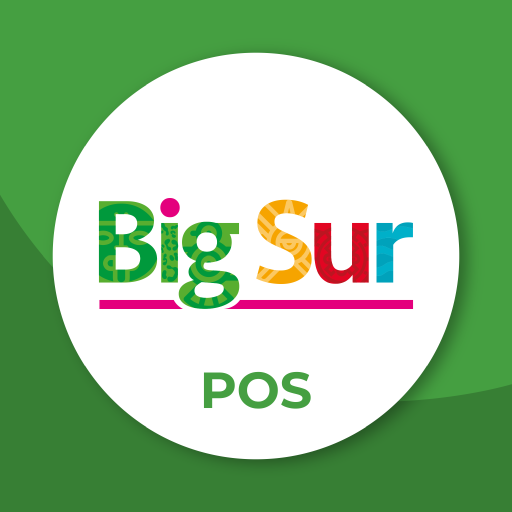 BigSur - Punto de venta logo