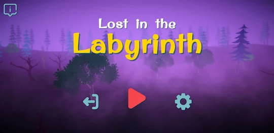 Lost in the Labyrinth: 3D Maze