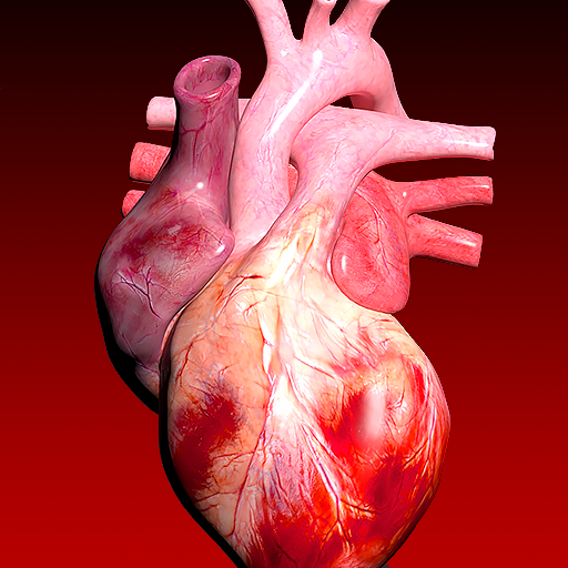 Circulatory System 3D Anatomy logo