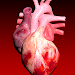 Circulatory System 3D Anatomy APK