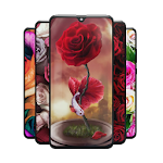 Cover Image of Herunterladen Rose Wallpapers: Red, Pink, Or  APK