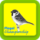 pingai championship icon