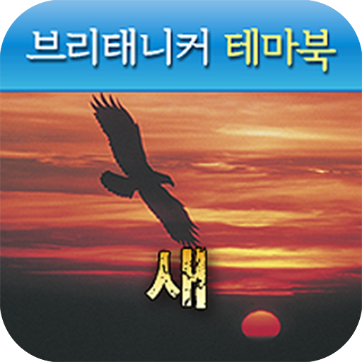 브리태니커 테마북-새 logo