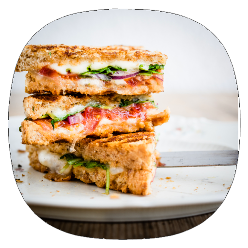 Sandwich Recipes Guide logo