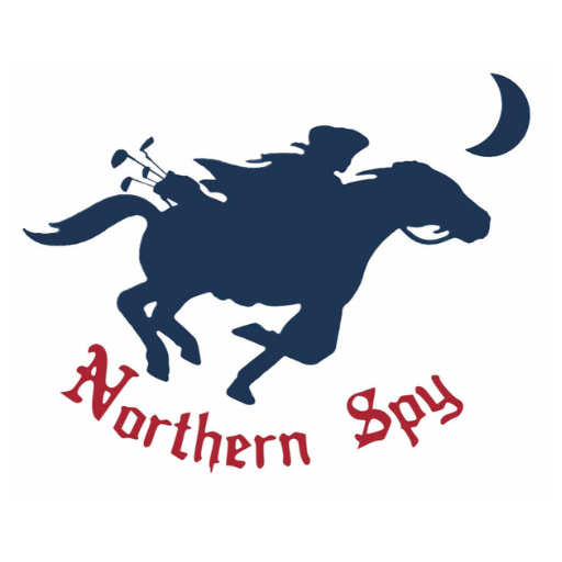 Northern Spy Golf Club  Icon