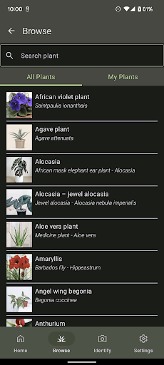 Plant Care - Identify Flowers Screen 3