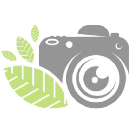 CashCam logo