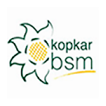 Cover Image of Download mykopkarbsm  APK