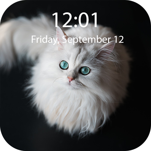 Kittens Live Wallpaper logo