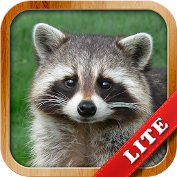 Icon image Animals for Kids