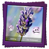 Lavender Live Wallpaper icon